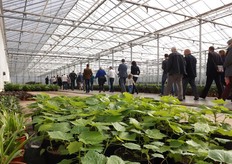 Kom in de Kas Arnhem-Nijmegen