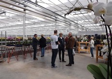 De fraaie orchideeën trokken de aandacht