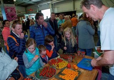 Lekker proeven van al die verschillende tomaatjes