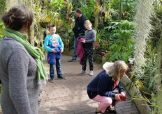 Bij Rheinart Orchideeen in Haren aandacht voor de bijzondere bloemen in de binnentuin van de kwekerij, met bijzondere soorten orchideeen.