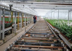 Het transportsysteem met verplaatsbare containers