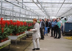 Maar eerlijk gezegd waren veel mensen vooral onder de indruk van de mooie kleuren van de planten