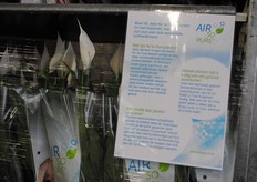 Het Air So Pure concept, met luchtverfrissende planten.