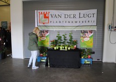 De planten van Van der Lugt