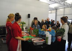 Paprika's in alle kleuren