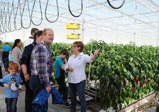 Hoe maak je die kas eigenlijk schoon?