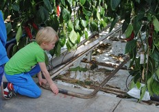 Even voelen aan de verwarming