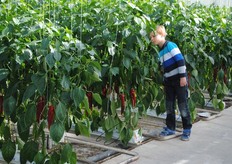 En zoeken naar de beestjes