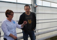 Hoe hoog worden de planten?