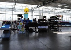 Eerst even een fuchsia scoren