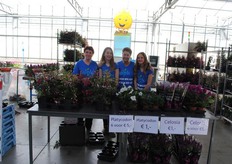 Het verkoopteam bij WPK!