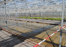 "Lekt het dak hier ofzo?"