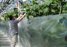 Heel veel foto's werden er gemaakt dit jaar, viel Leon van Kooten op. En deze meneer filmde zelfs de komkommerplanten. Altijd leuk voor thuis.