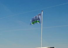 De lucht bleef strakblauw.