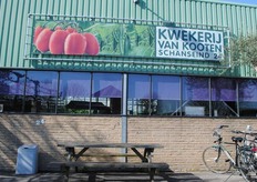 Tomaten en komkommers in een oude bloemenkas