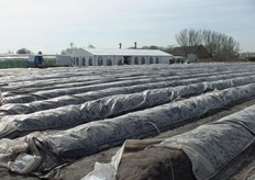 Een week voordat ‘Kom in de Kas” van start ging hadden ze op het bedrijf een ander interessant evenement onder de naam “Kom op het land”