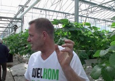 Hoe groot worden die aardbeien eigenlijk?