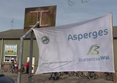 Asperges van de Brabantse Wal