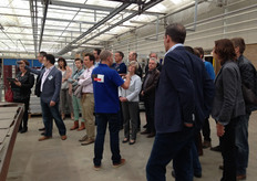 Foto's uit Voorne Putten, bij potrozen kwekerij Leo van der Harg