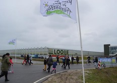 Smaaktomaten teler Looije.