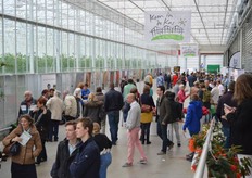 Erg druk in de kas van Looije.