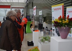 Beekenkamp was ook aanwezig in de kas van Looije.