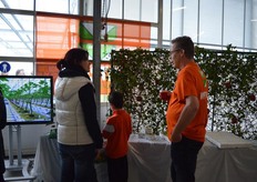 Bezoekers krijgen uitleg over de groei van een paprika plant.