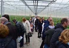 De kas van De Haas Paprika was druk bezocht.