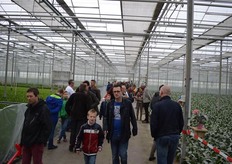 Aan de linkerkant de jonge bromelias en aan de rechterkant de oudere bromelias.