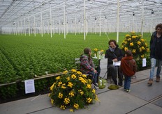 Hier konden de bezoekers een foto maken met de chrysanten.