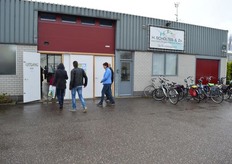 Geplozen chrysanten kweker H. Scholtes.