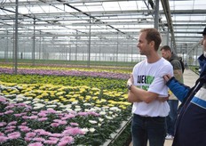 De geplozen chrysanten van H. Scholtes.