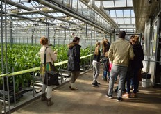 De kas van Future Flowers.