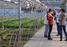 De kas van N.L. Enthoven.