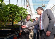 Een aardbei wegsnaaien?