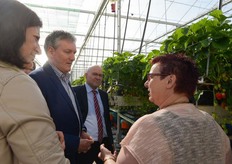 Rondje door de kas met uitleg over de teelt