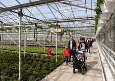 Op naar Ebus Kwekerijen