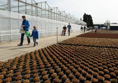 Ook in Limburg heerlijk weer