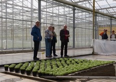 En dan de kassen in van Gipmans Planten.