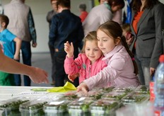 De minikomkommers vonden gretig aftrek