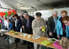 Wat is nu eigenlijk het verschil?