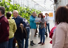 Hoe hoog worden de planten nu?