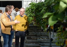 De aardbeien staan er mooi bij