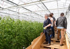 Zelfs boven het gewas kon er gekeken worden