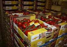 Tasty Tom, exclusief bij ZON