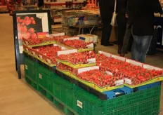 Aardbeien van Hoogstraten.