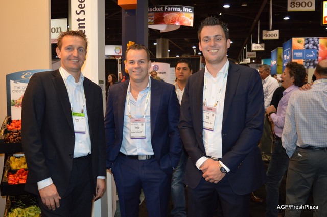 Kamarli ayollar porno