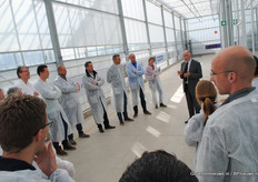 Uitleg over phalaenopsisproeven