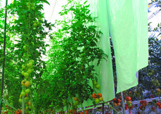 En zo ziet dat eruit.