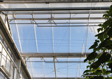 Het kasdek omvat een buitenste laag van diffuus glas met een dubbele antireflectie coating en een onderste laag van F-CLEAN film, met daartussen een ventileerbare spouw.